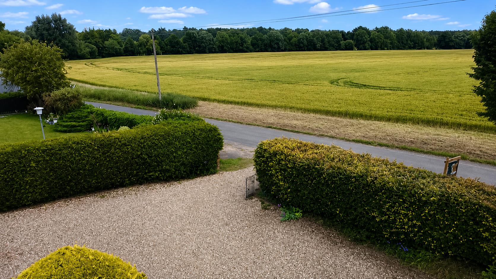 Driveway & Surrounding Area